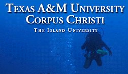 Texas A&M University in Corpus Christi Texas